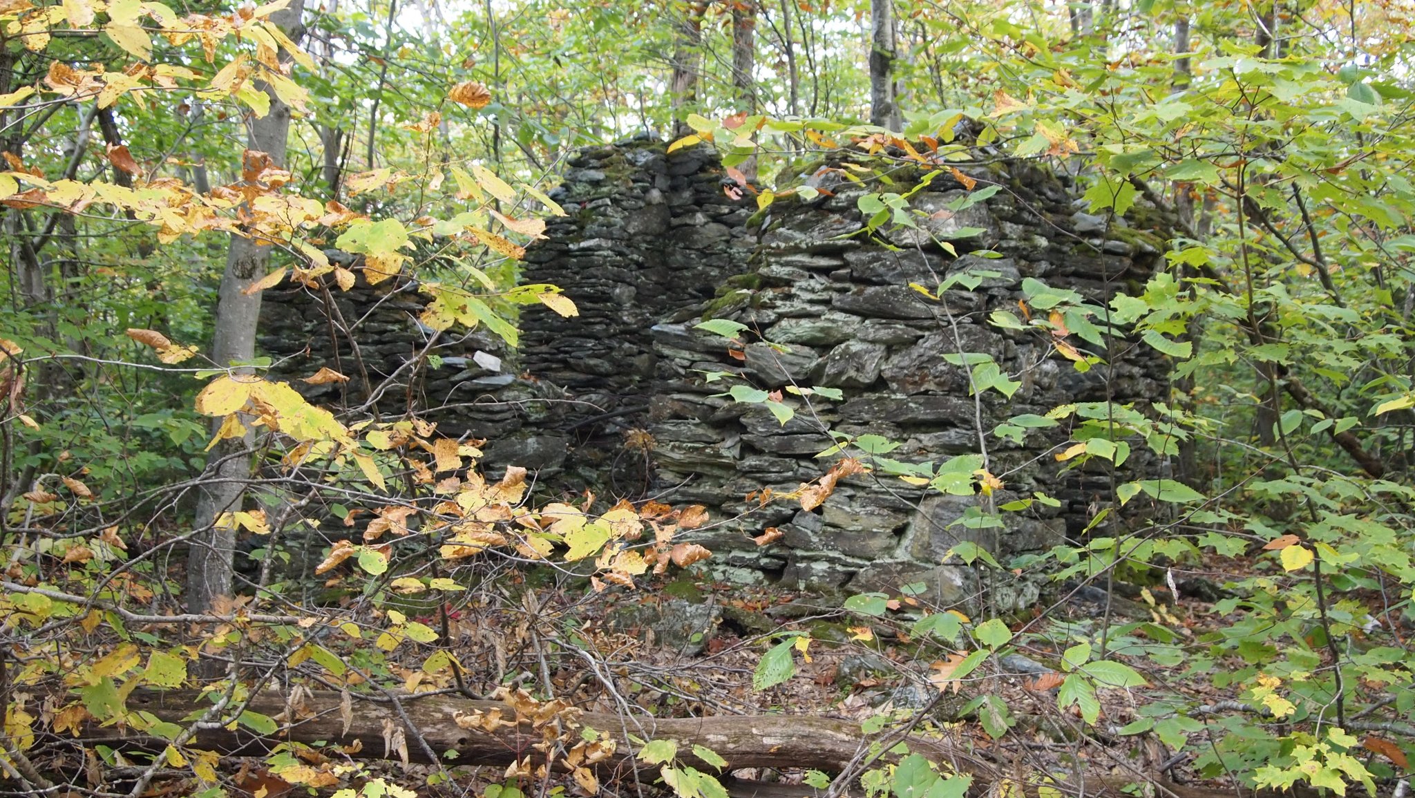 PA069934[1].JPG