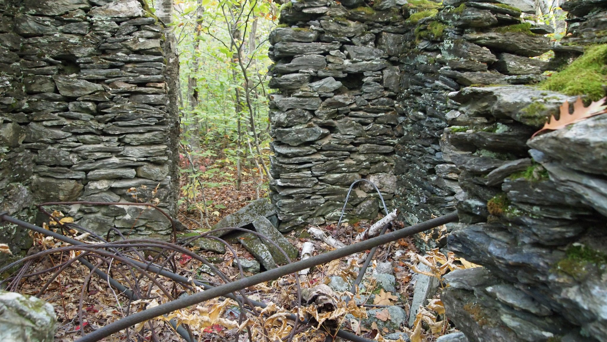 PA069935[1].JPG