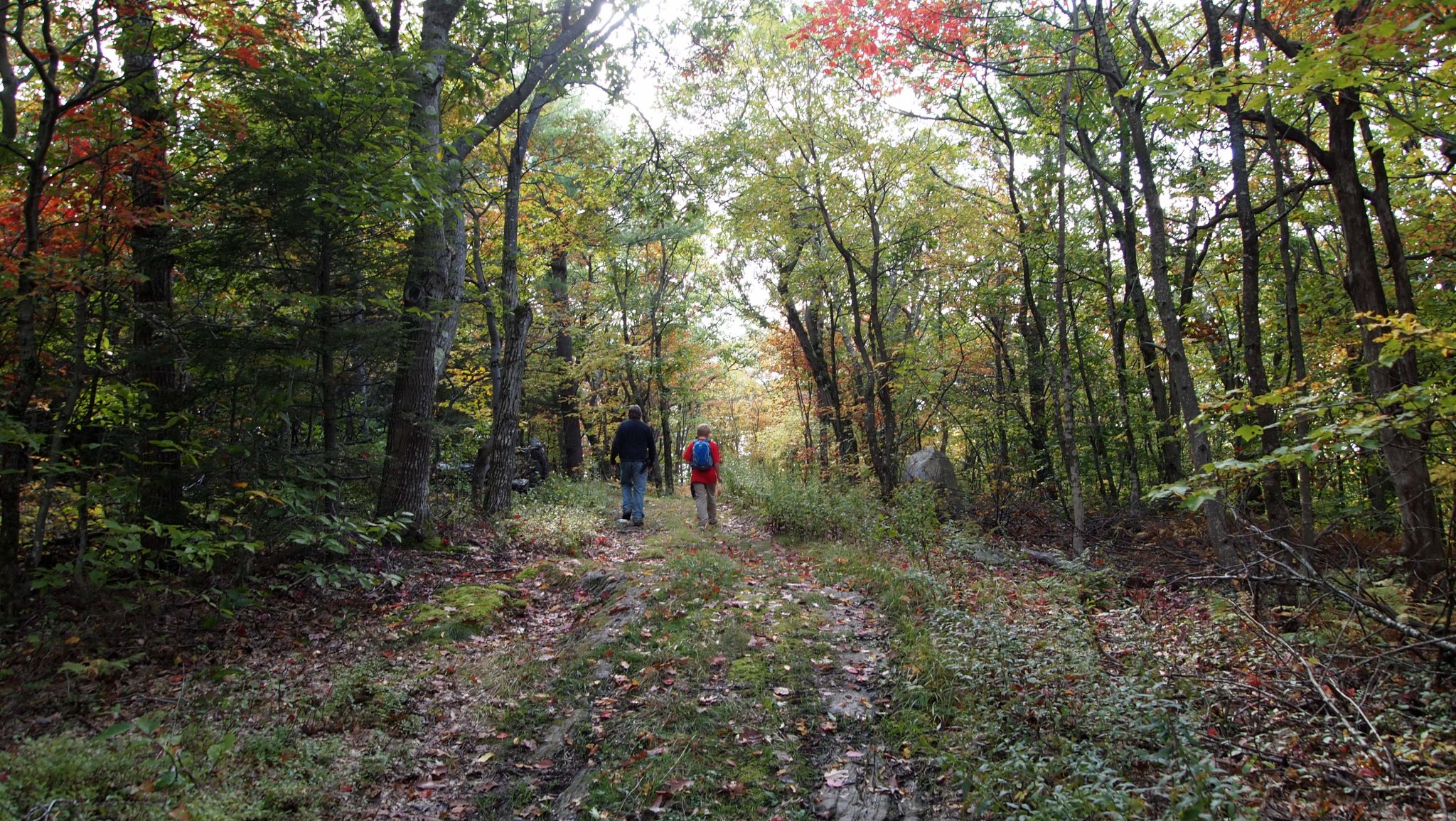 PA069937[1].JPG