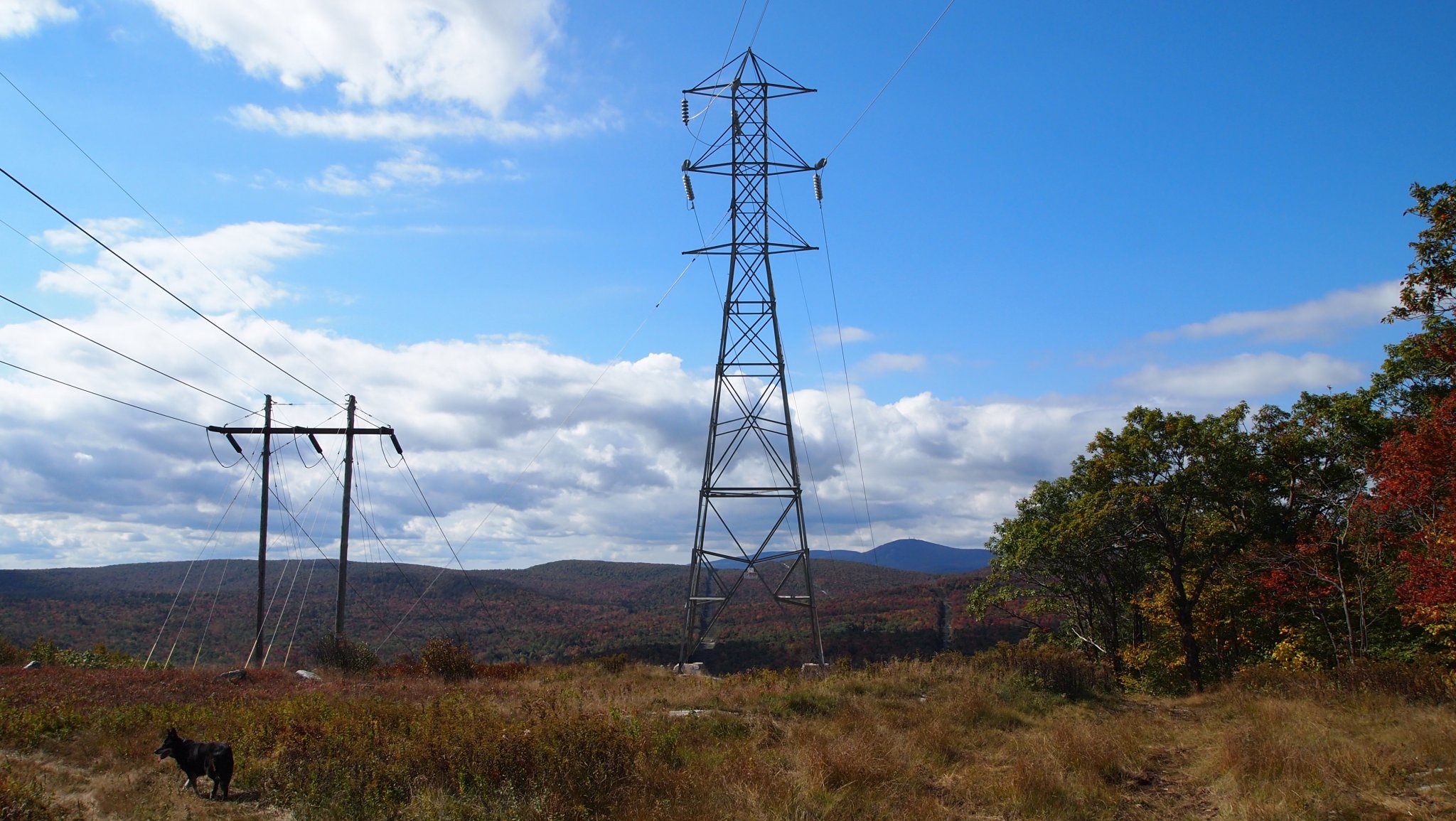 PA069939[1].JPG