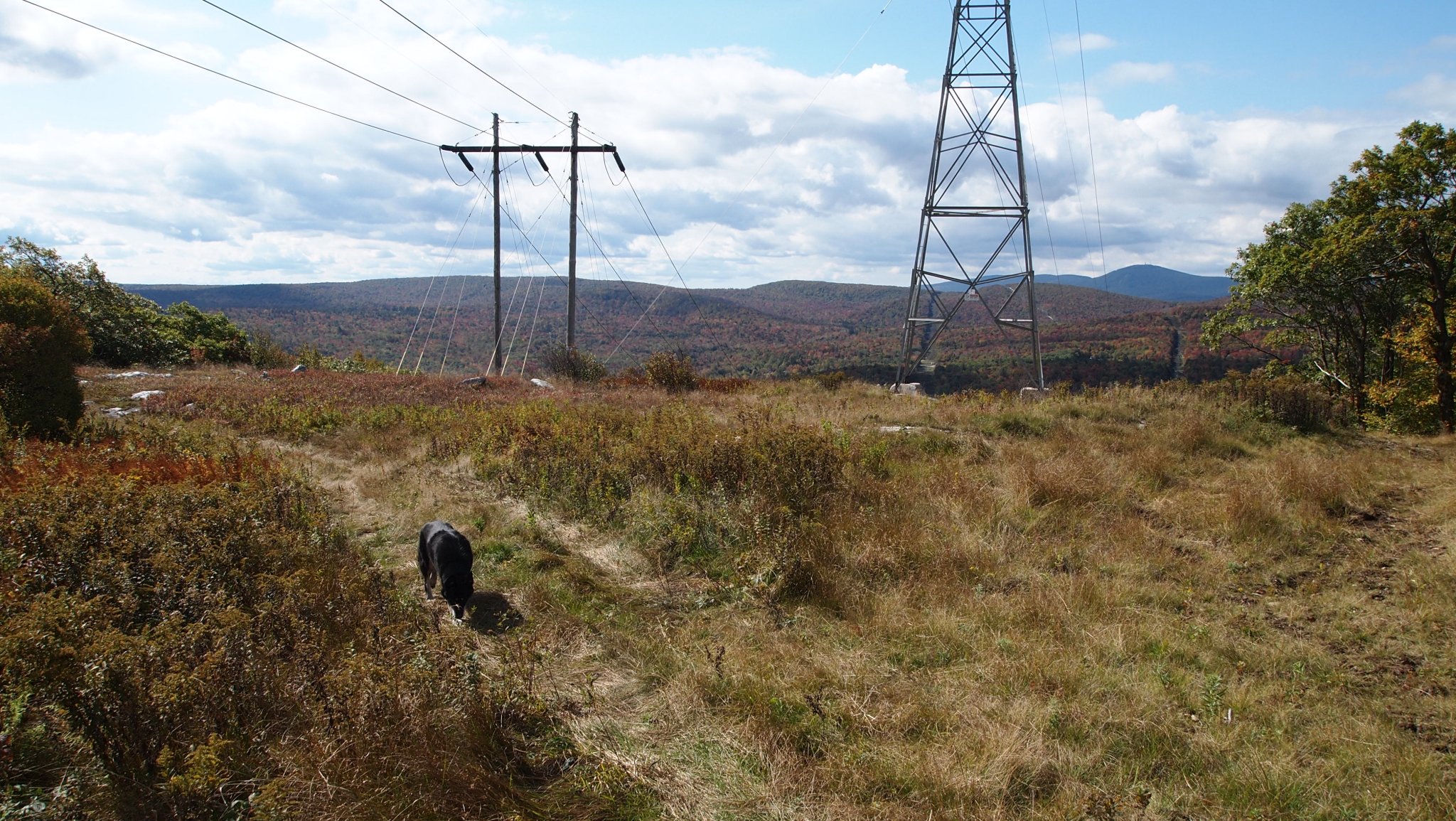 PA069940[1].JPG