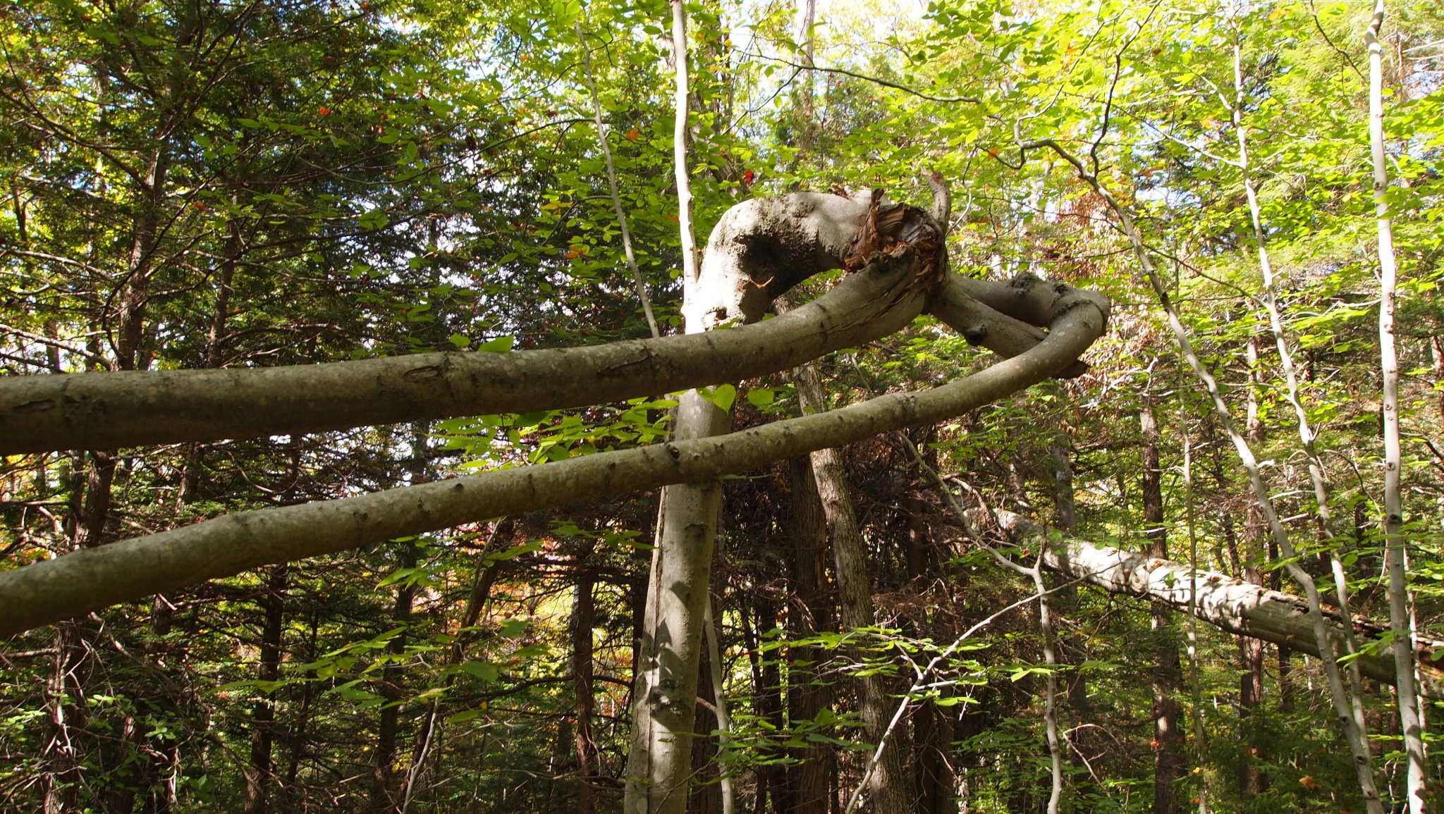 PA069945[1].JPG