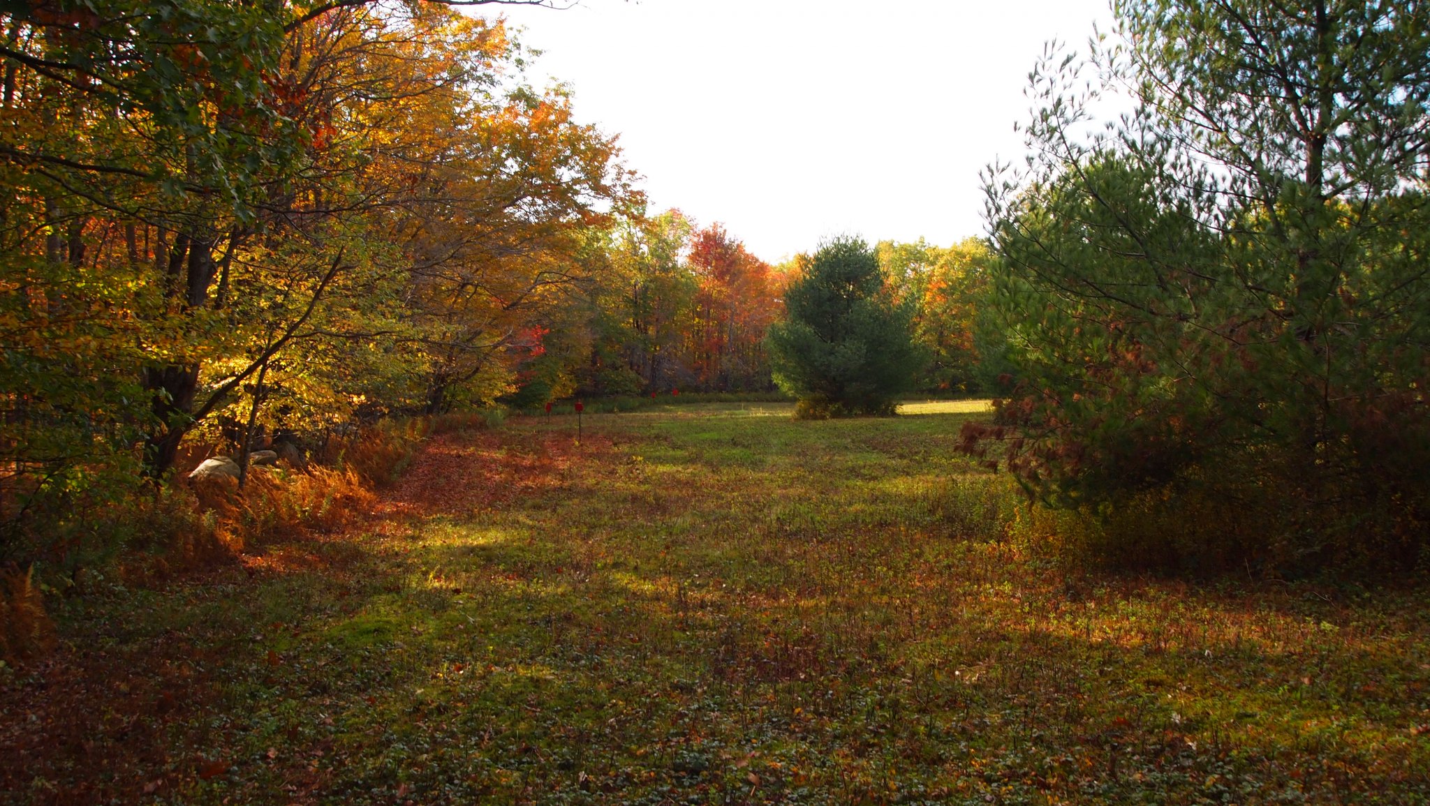 PA069957[1].JPG