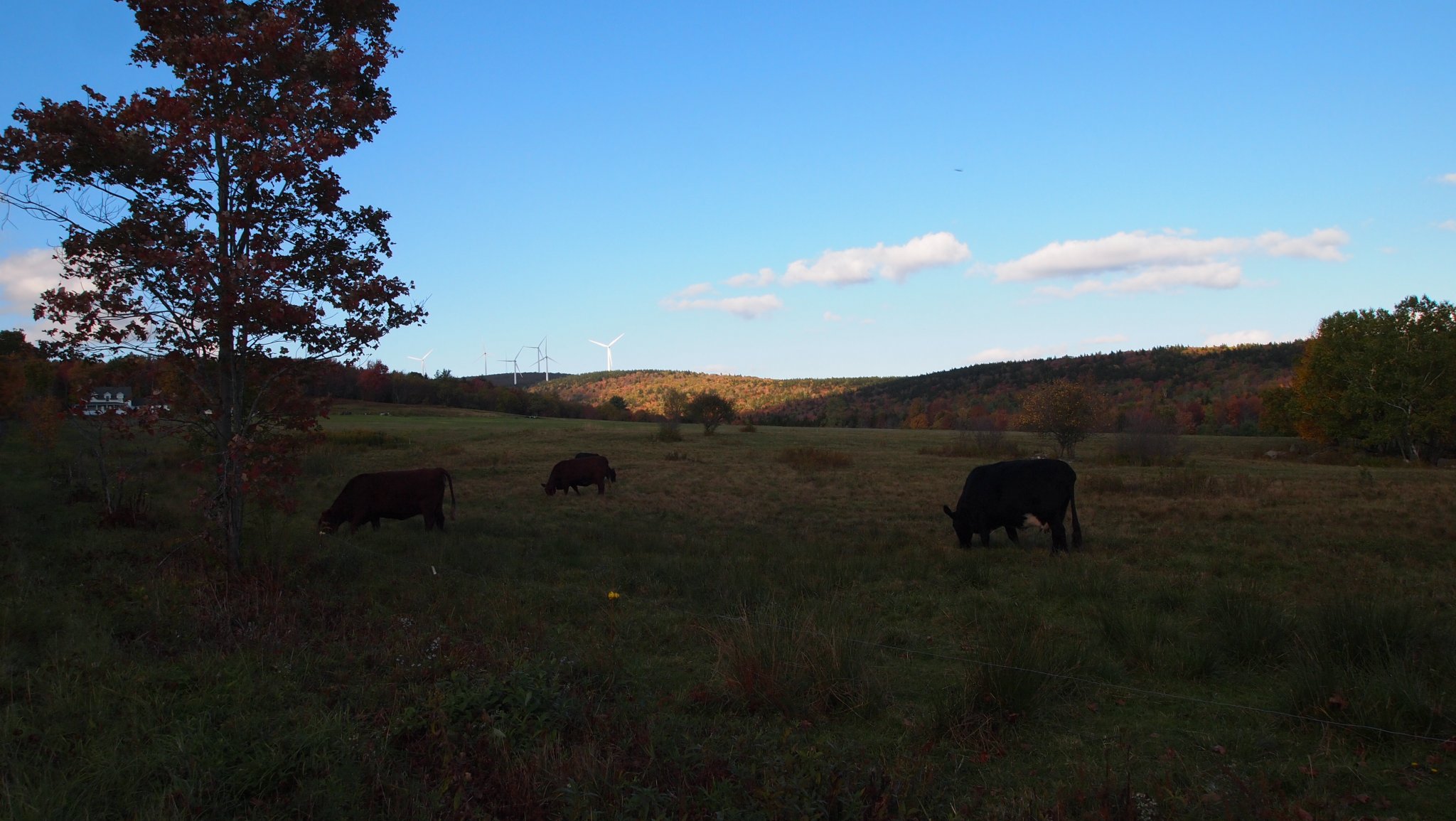 PA079968[1].JPG