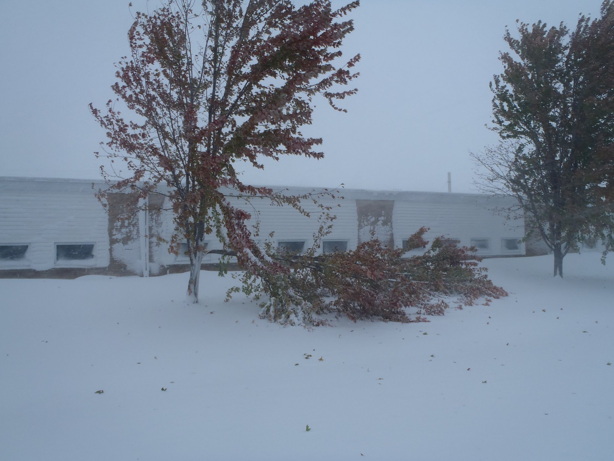 PA110504.JPG