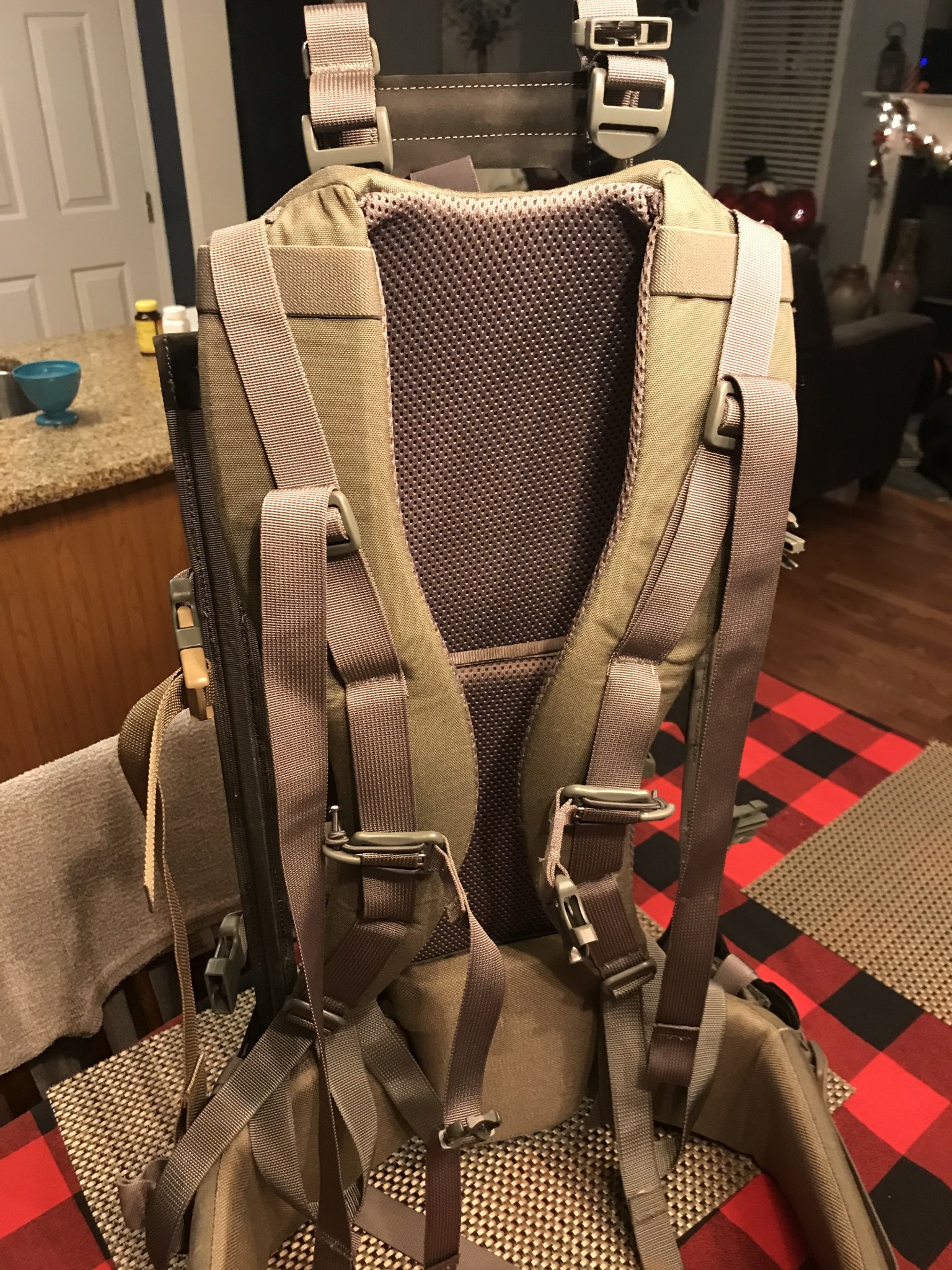 pack frame 2.jpg