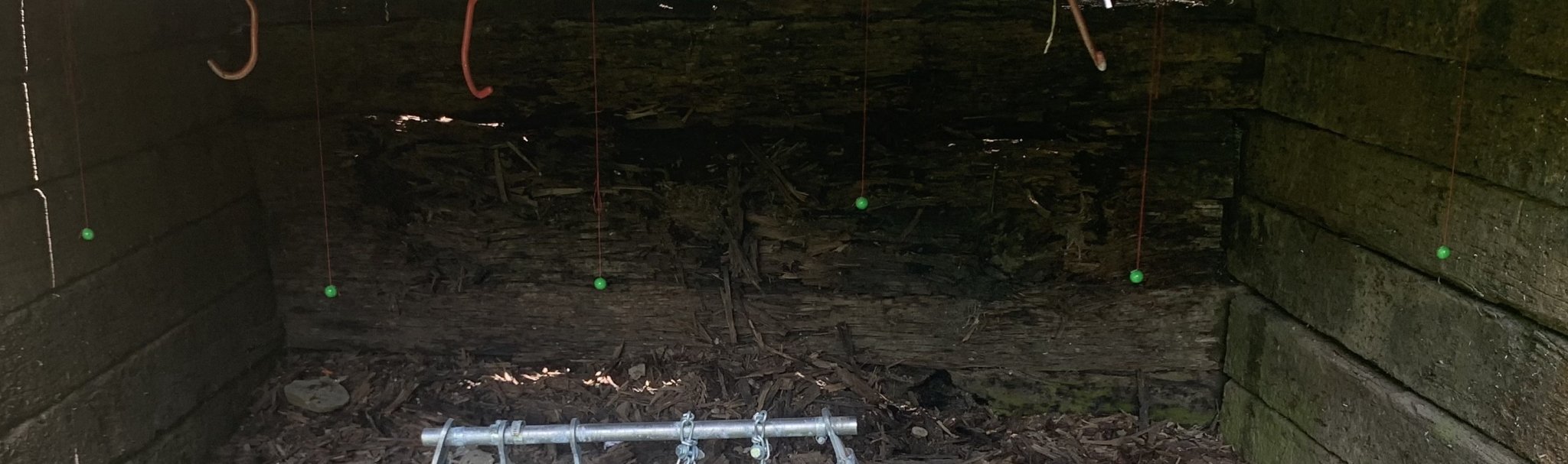 Paintballs.jpg