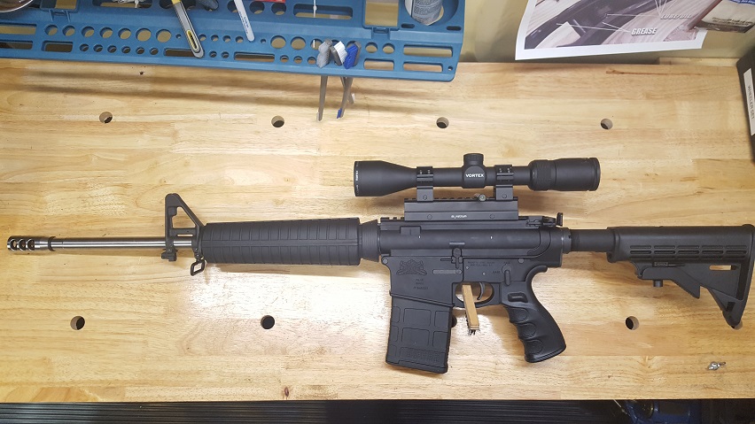 Palmetto PA10.jpg