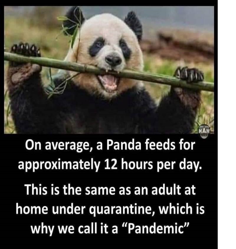 pandemic.jpg