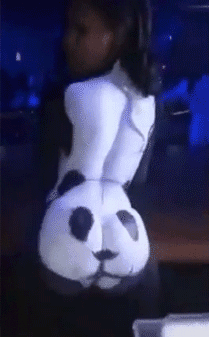 PANSA.gif