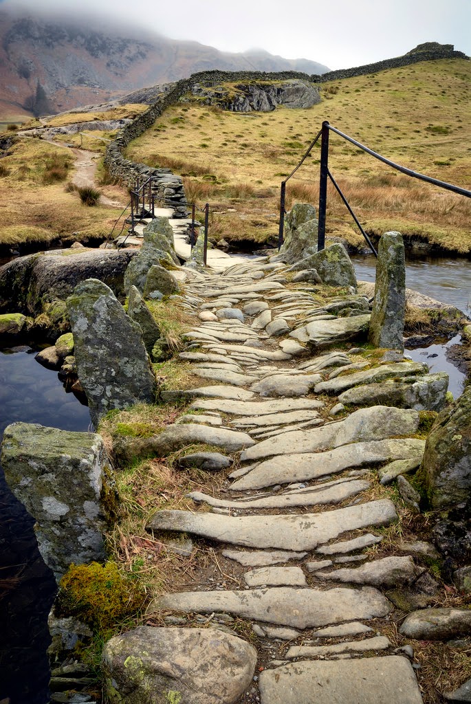 pathway.jpeg