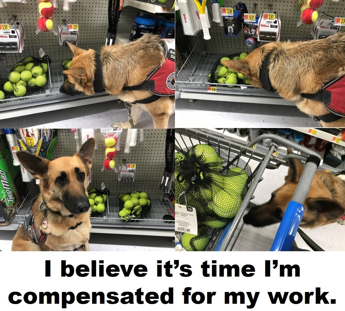 Payday.jpg