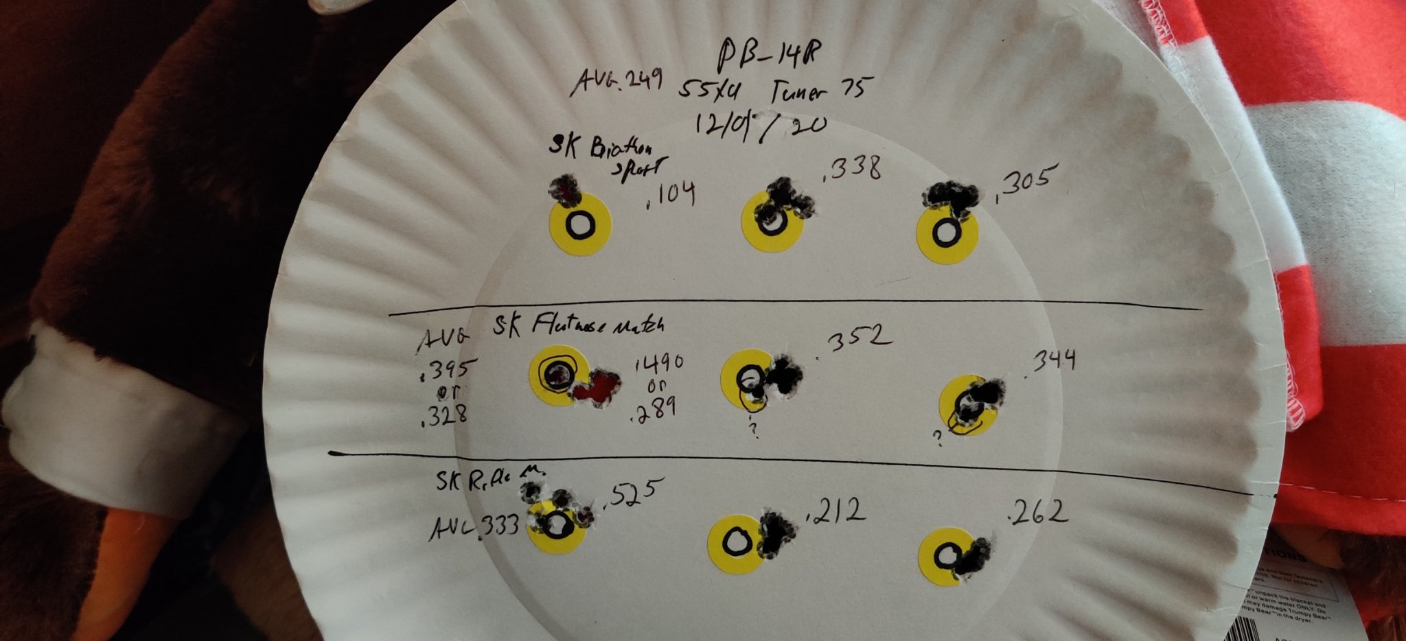 PB-14R all SK ammo Avg is .303 Tuner 75 12-01-20.jpg