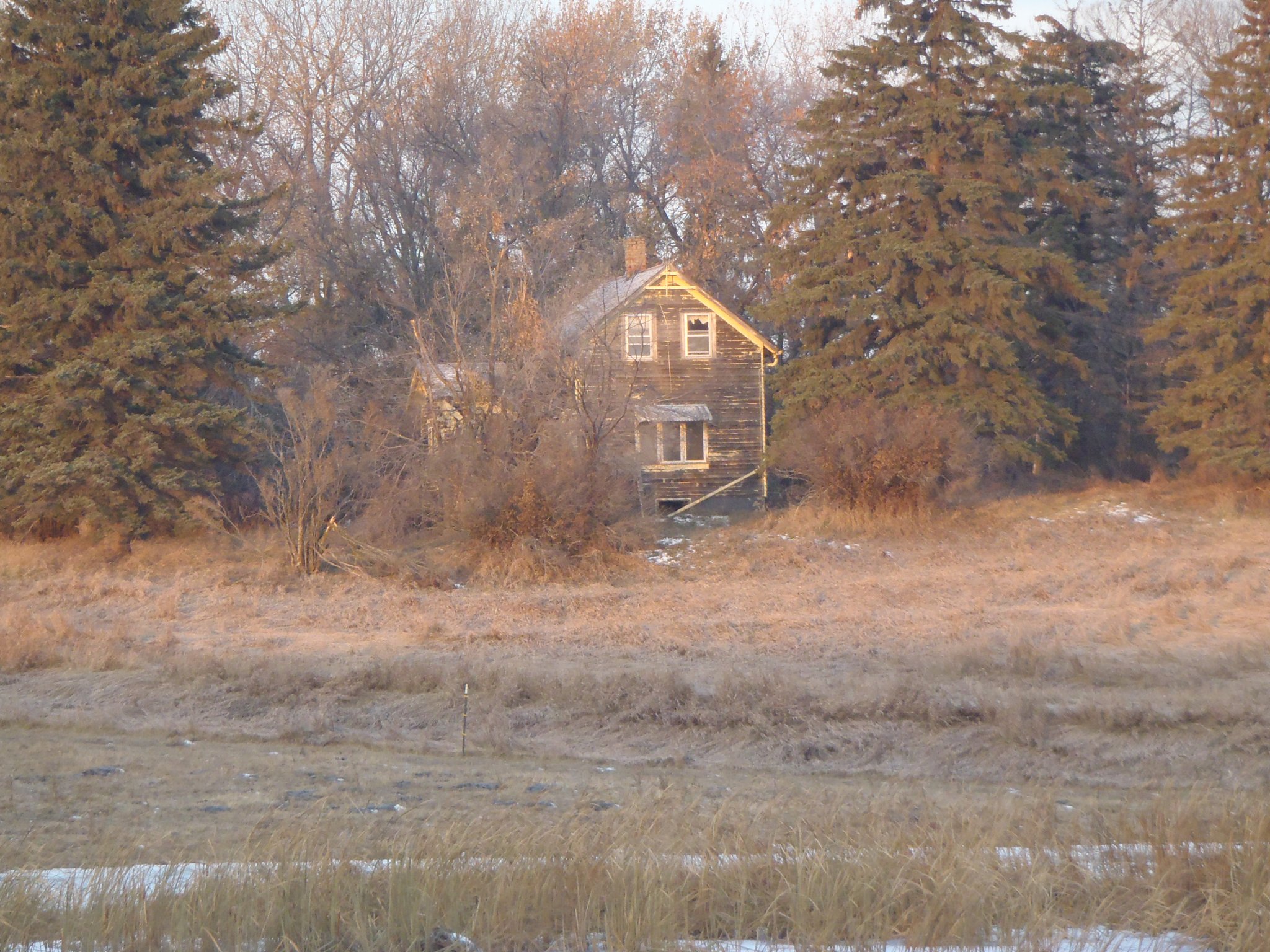 PB160575.JPG