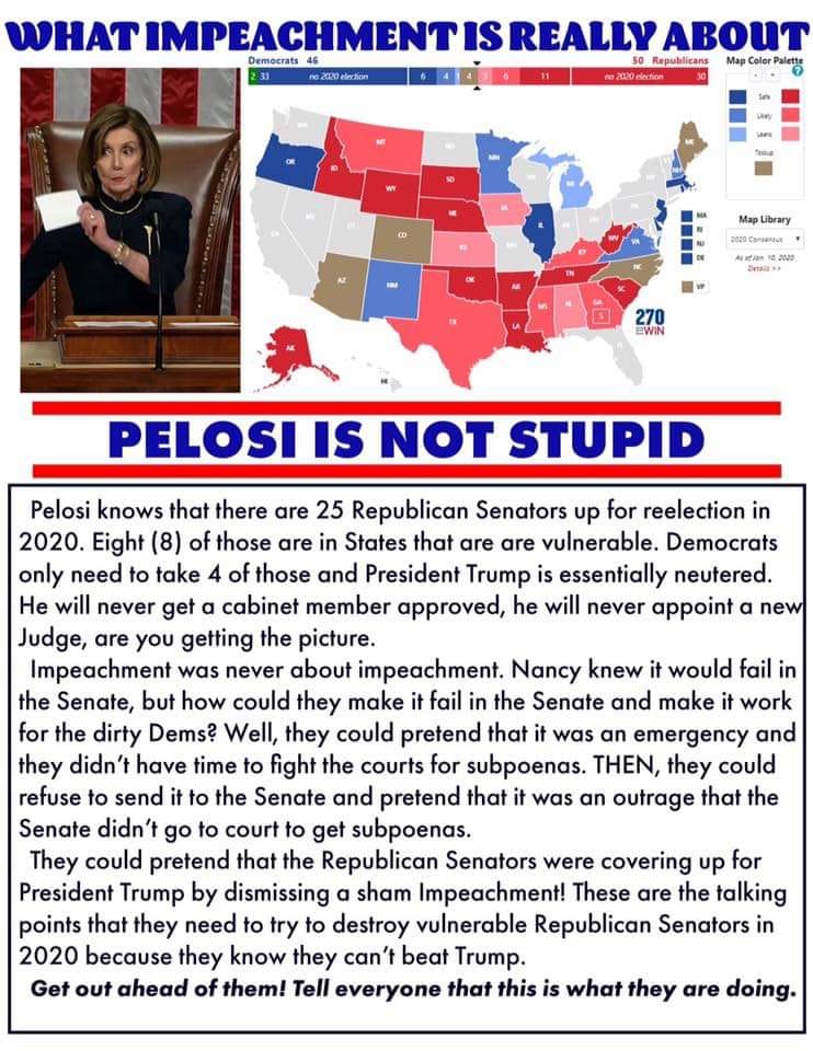 Pelosi plan.jpg