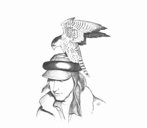 Peregrine-Copulation-Hat-Illustration-.png
