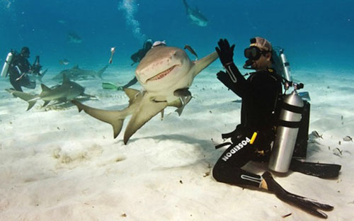 perfectly-timed-photos-funny-6.jpg
