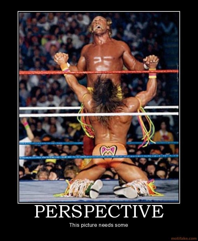 perspective wwf gay wrestling motivational poster posters inspirational funny demotivational h...jpg