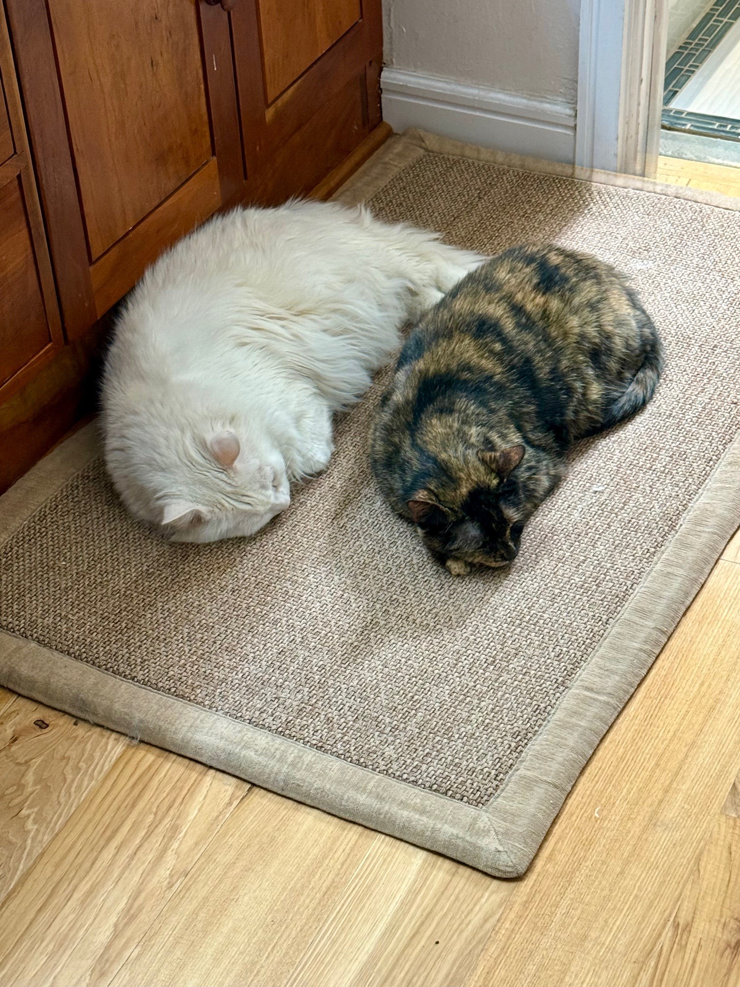 Pete & Minera.jpg