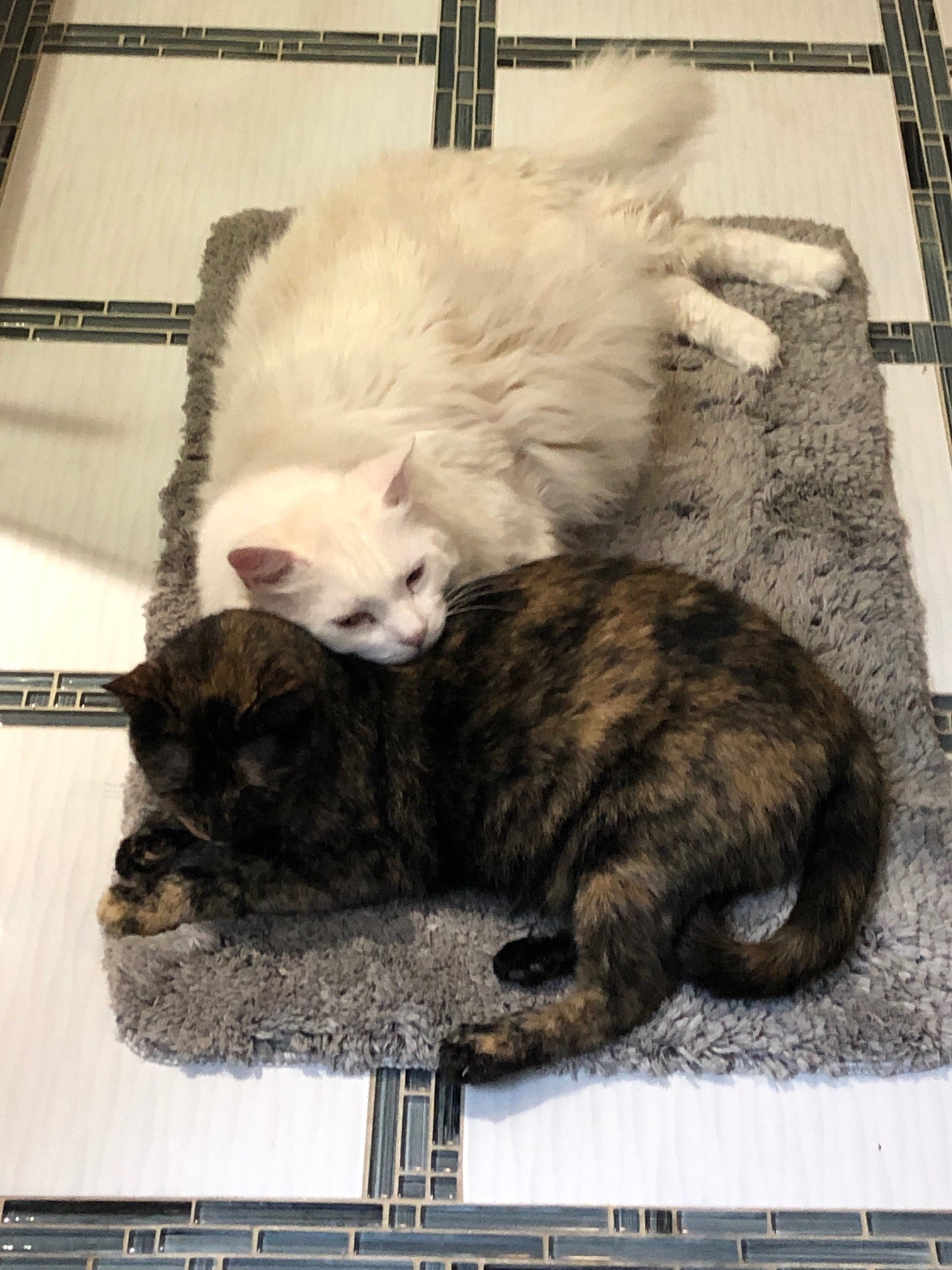Pete & Minerva.jpg