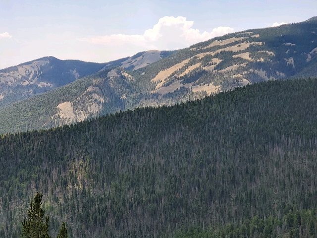 philmont 17.jpg