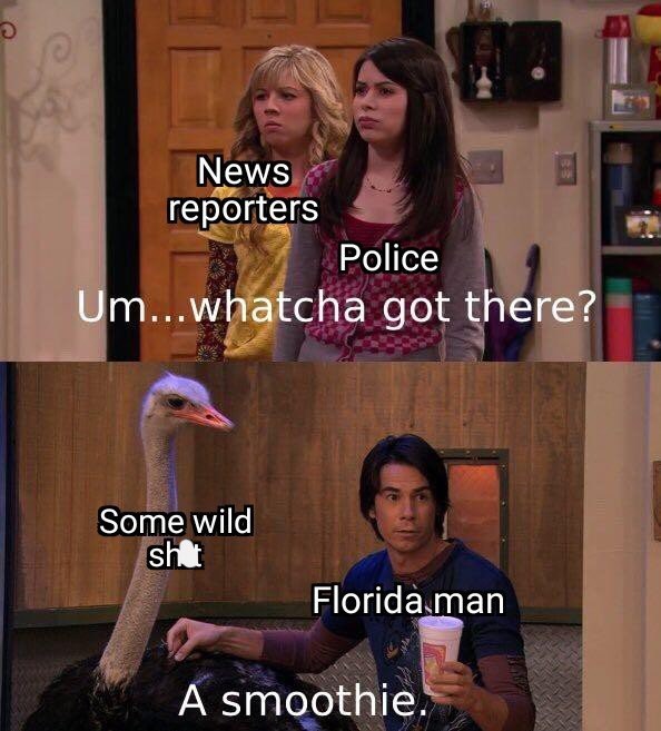 photo-caption-news-reporters-police-umwhatcha-got-there-some-wild-sht-florida-man-a-smoothie.jpeg
