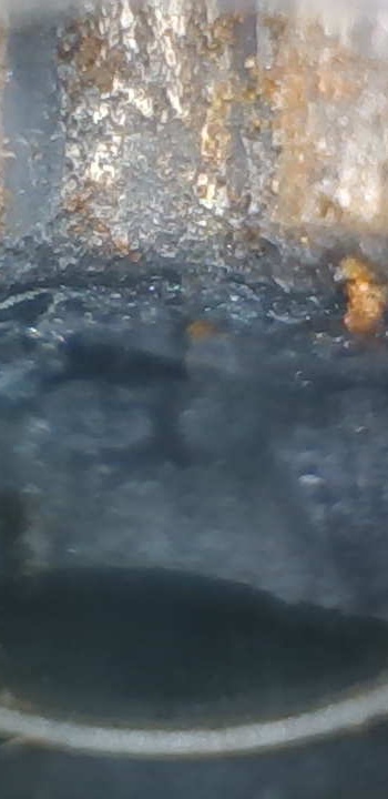 Photo_2.jpg
