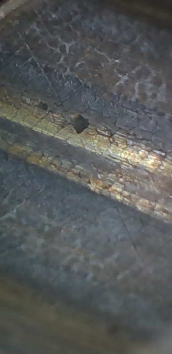 Photo_3.jpg