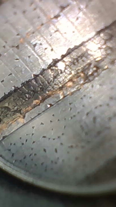 Photo_7.jpg