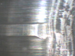 pic1.JPG