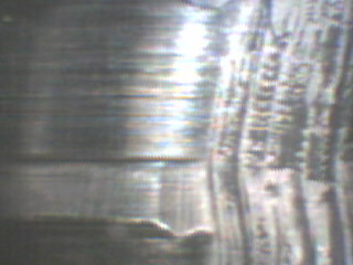 pic2.JPG