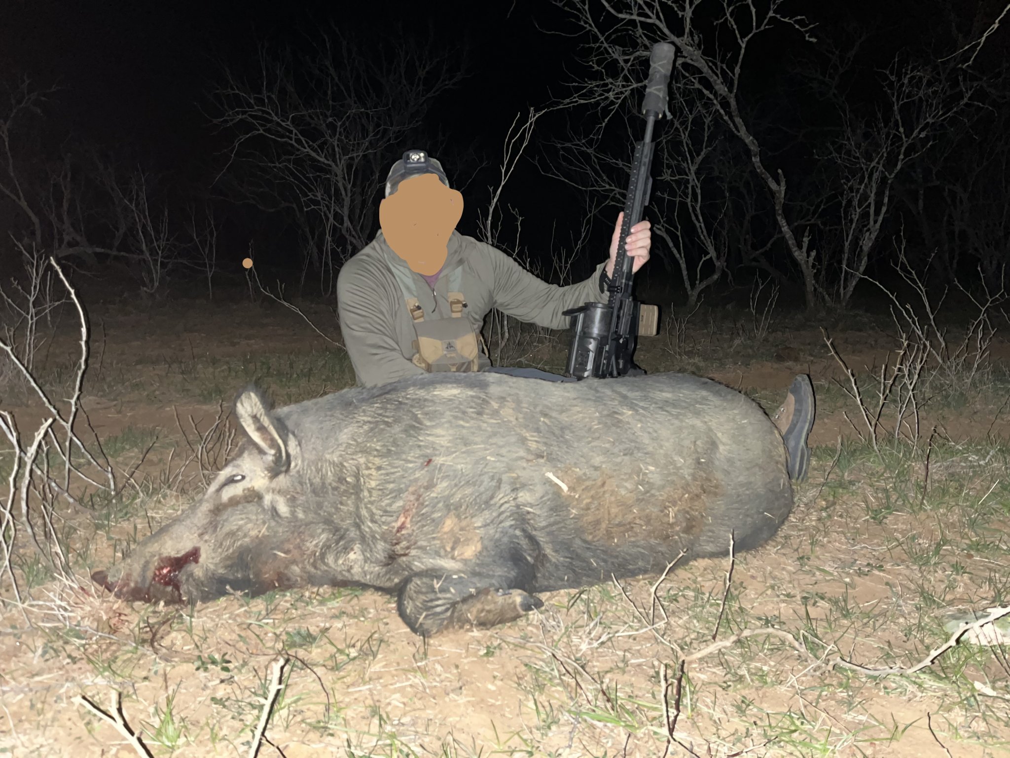 pig edit.jpg