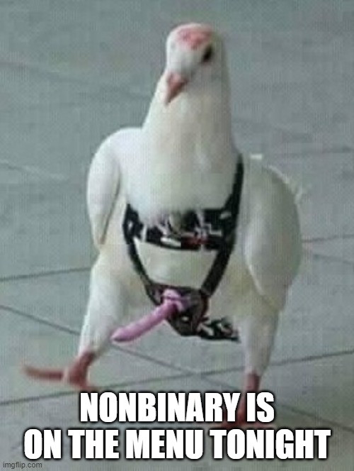 pigeonstrapon (3).jpg