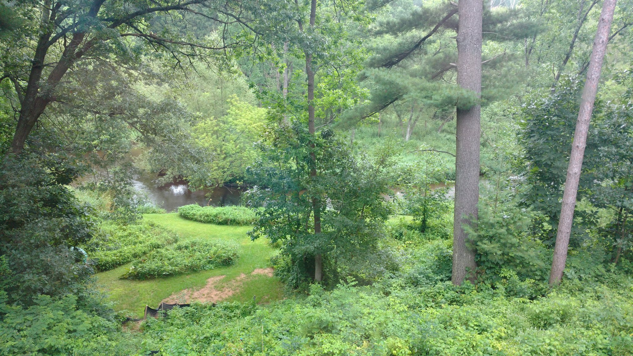 Pine River View.jpg