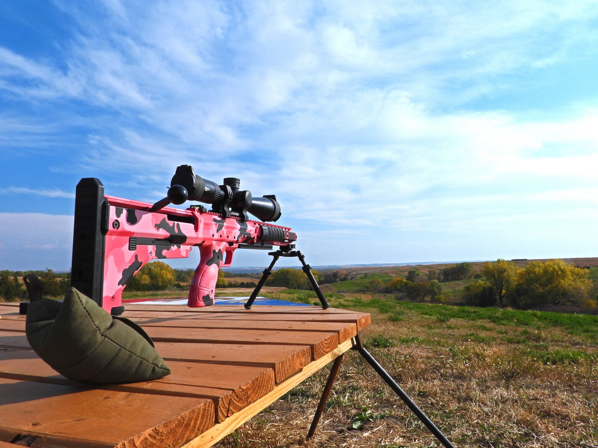 Pink DT.jpg