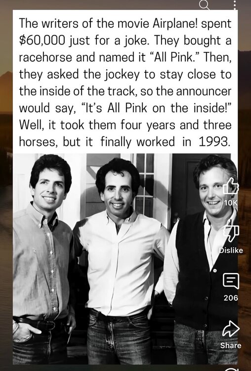 pink.jpeg