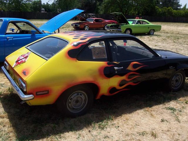 pinto.jpg