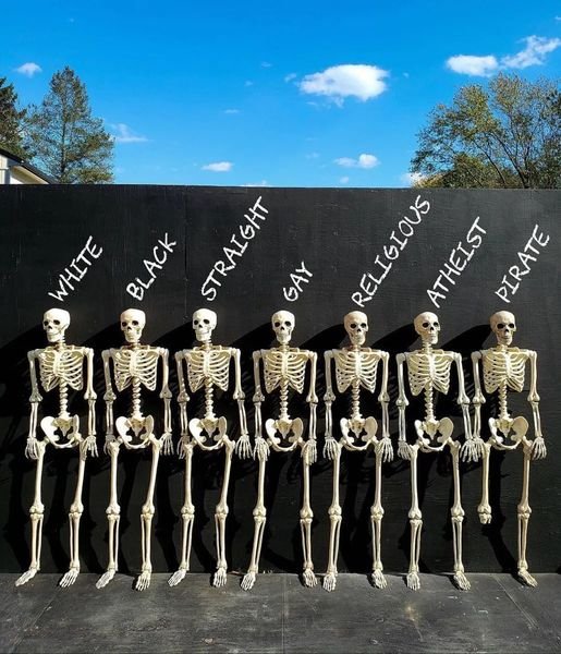 Pirate.jpg.726b5acd22594cc6865a1bce86b85721.jpg