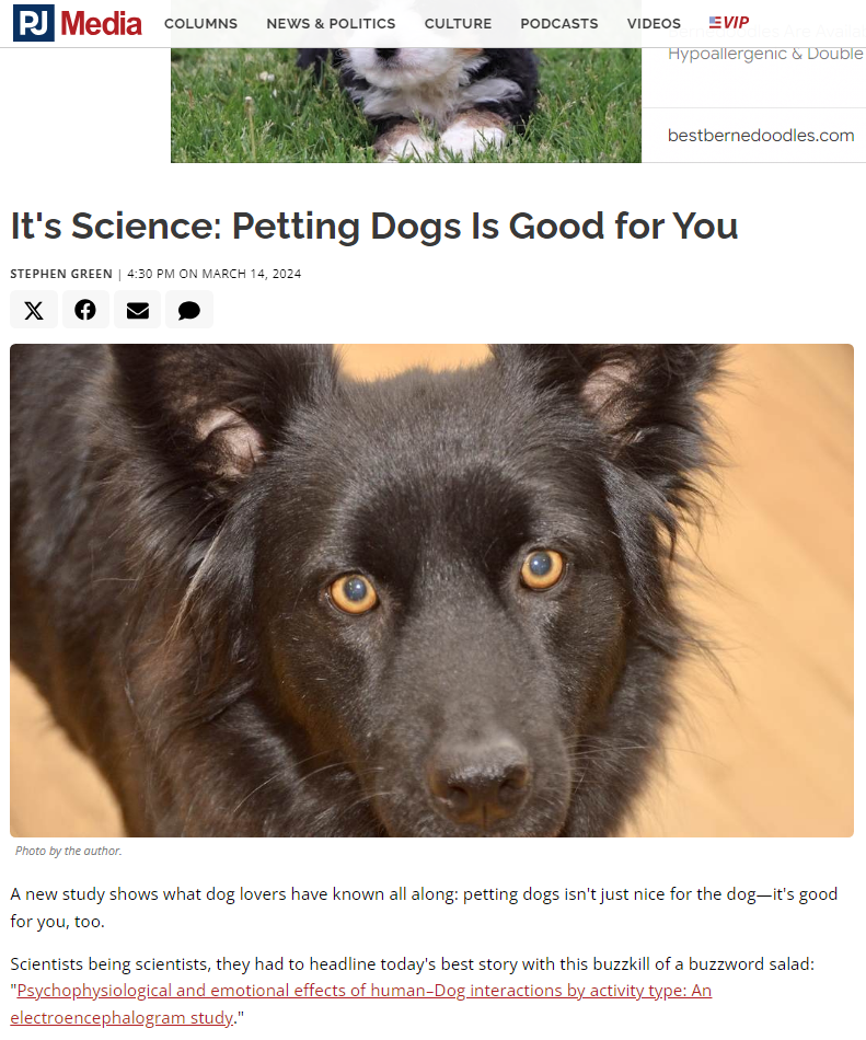 PJ.png