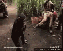 planet-of-the-apes-gun.gif
