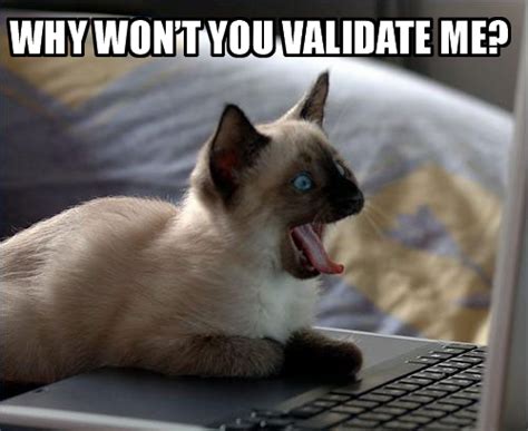 please_validate_cat.jpg