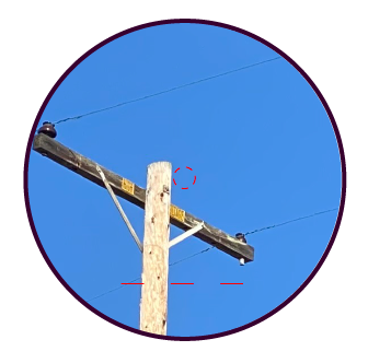 PLRF-Getto-confirm3.png