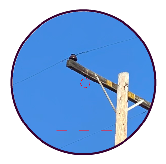 PLRF-Getto-confirm5.png