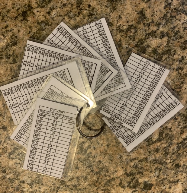 Pocket data cards pic.jpeg