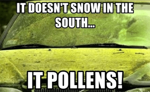 Polen.PNG