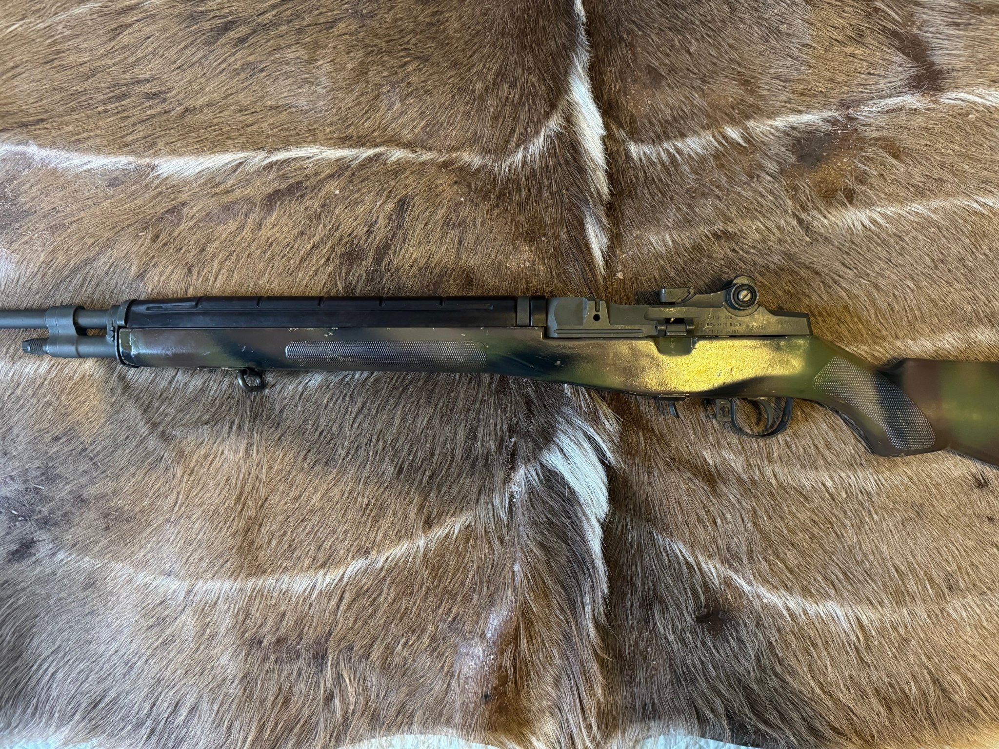 Polytech M1A-1.jpg