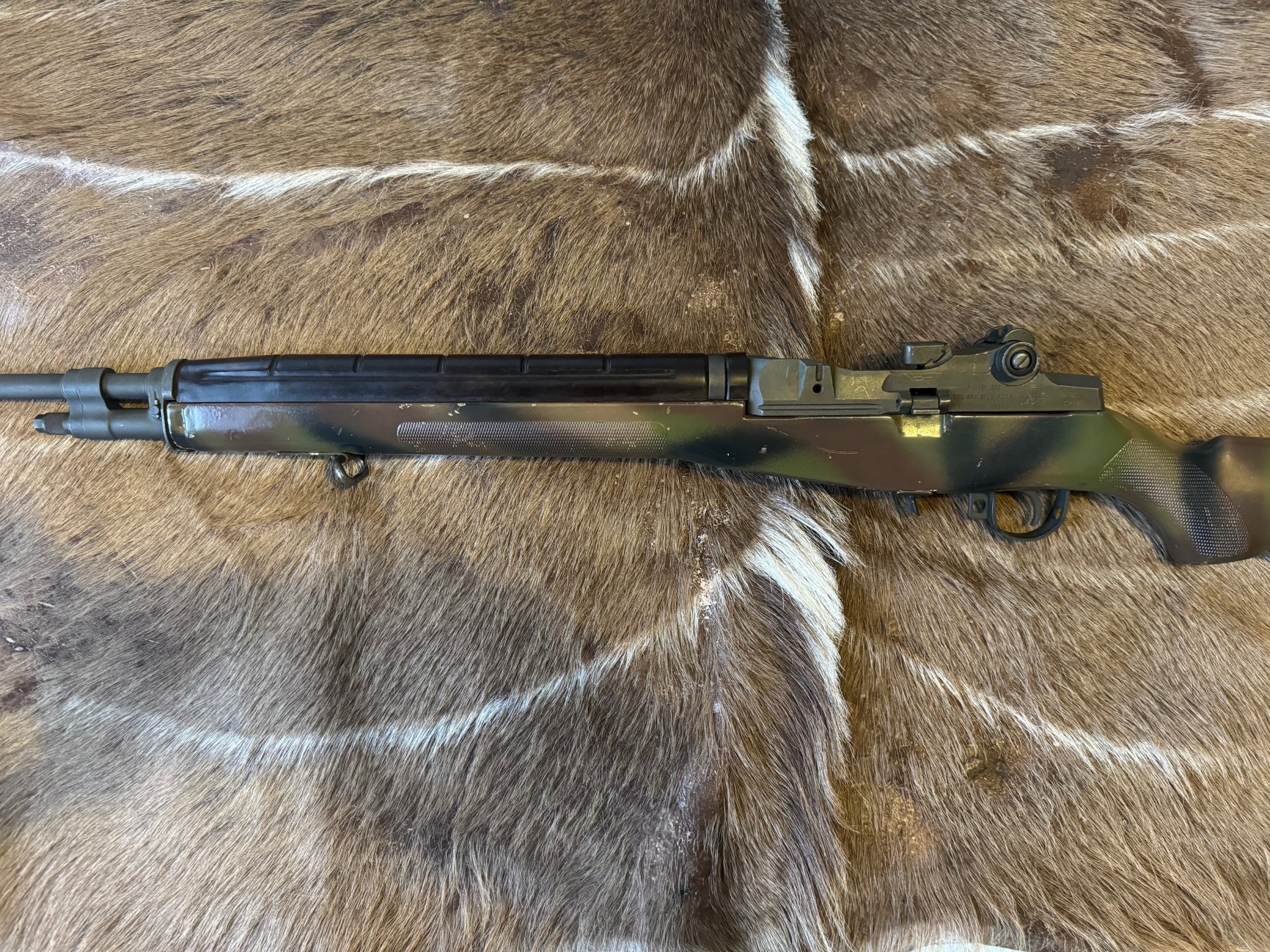 Polytech M1A-2.jpg