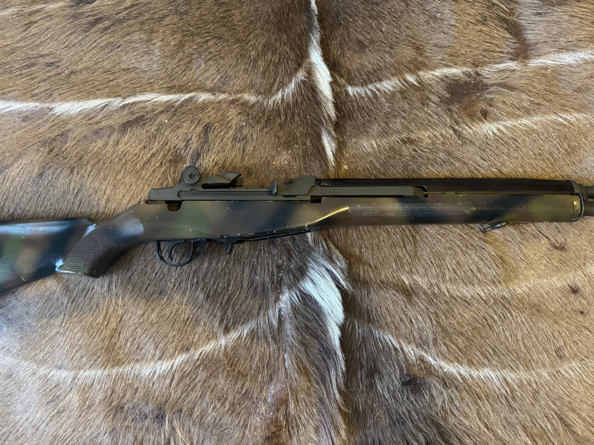 Polytech M1A-4.jpg