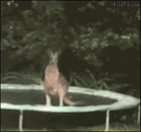 press_r_for_regret-8.gif
