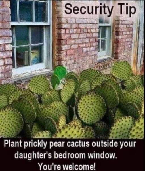 prickpear.jpg